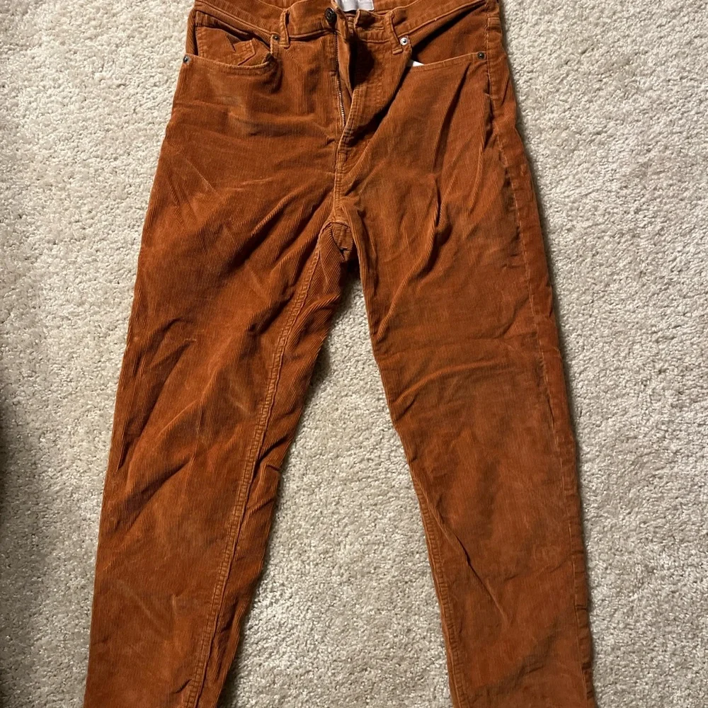 Everlane Baby Cord burnt orange corduroy pants - Picture 3 of 6